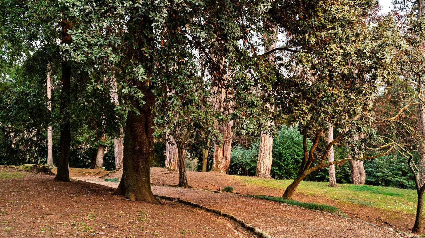 Ristorante Il Torchio Antico Lugo di Vicenza